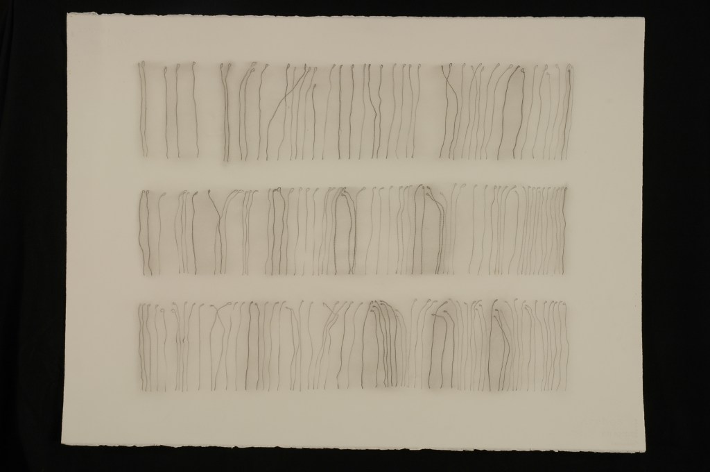 Drawings CD 2006 002